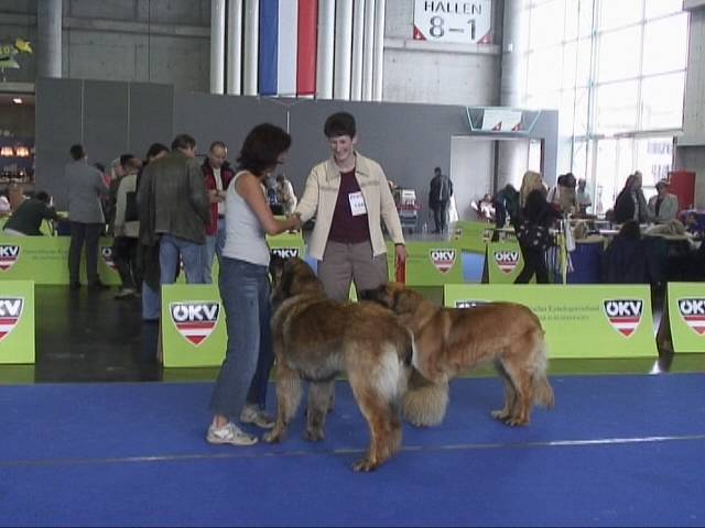 Salzburg Clubschau Mai 06 143 